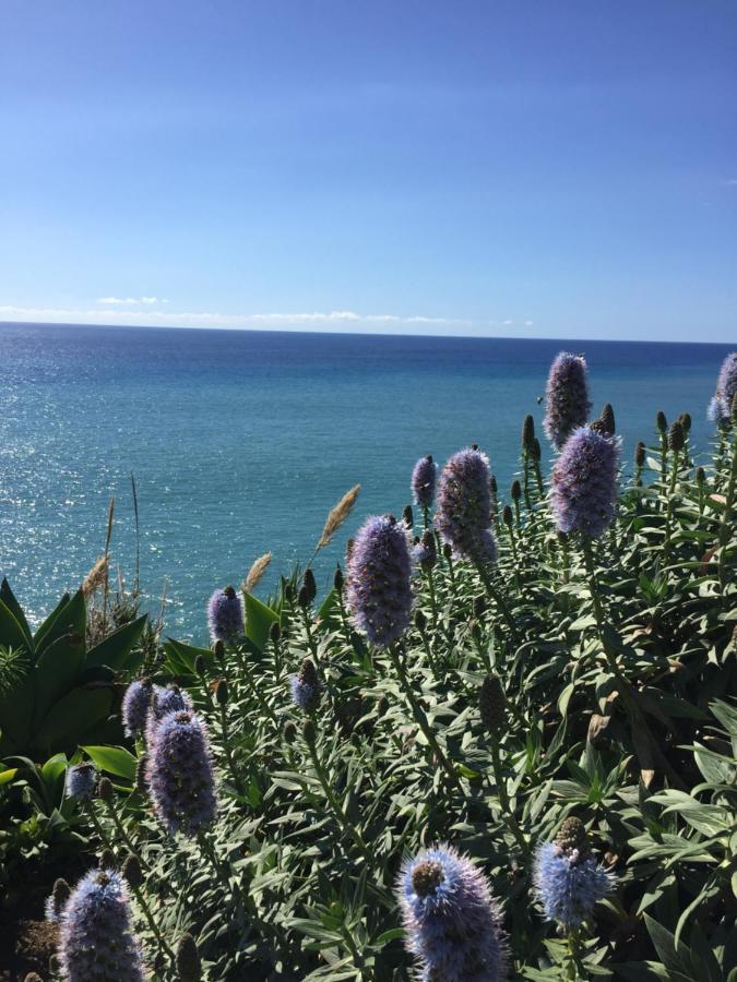 Calheta Ocean View Family Apartment - Air Condition Estreito Da Calheta Dış mekan fotoğraf